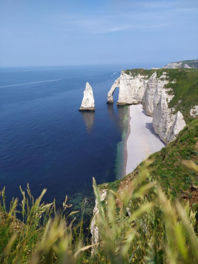 Le Clos Marie Bed & Breakfast Sausseuzemare-en-Caux Екстериор снимка